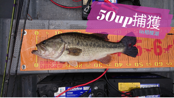 パワーフィネスで相模湖の50upを捕獲 二人で乗ると答え合わせが早い話 Bass Life